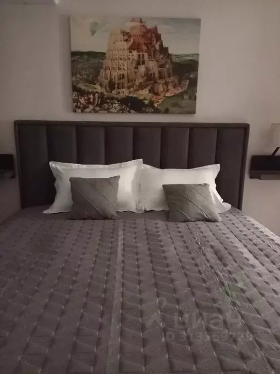 Студия Санкт-Петербург ул. Бабушкина, 84к2 (24.0 м) - Фото 1
