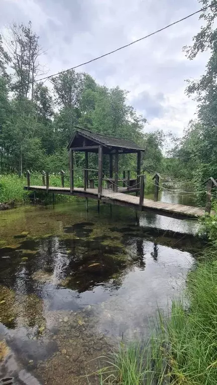 Участок в Ленинградская область, Кингисеппский район, Котельское ... - Фото 0