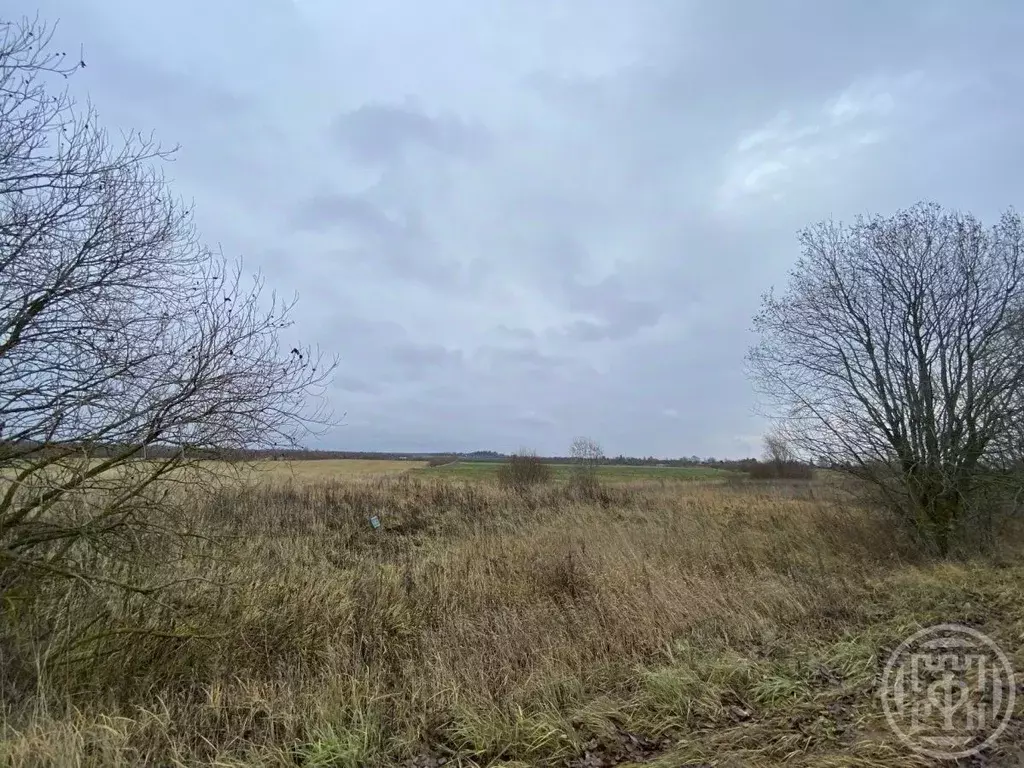 Участок в Ленинградская область, Волховский район, Свирицкое с/пос, ... - Фото 1