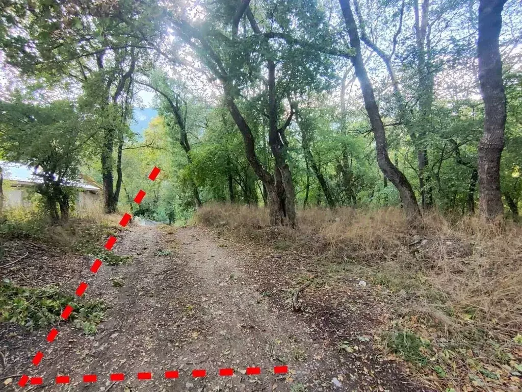 Участок в Крым, Ялта муниципальный округ, пос. Партизанское ул. ... - Фото 1