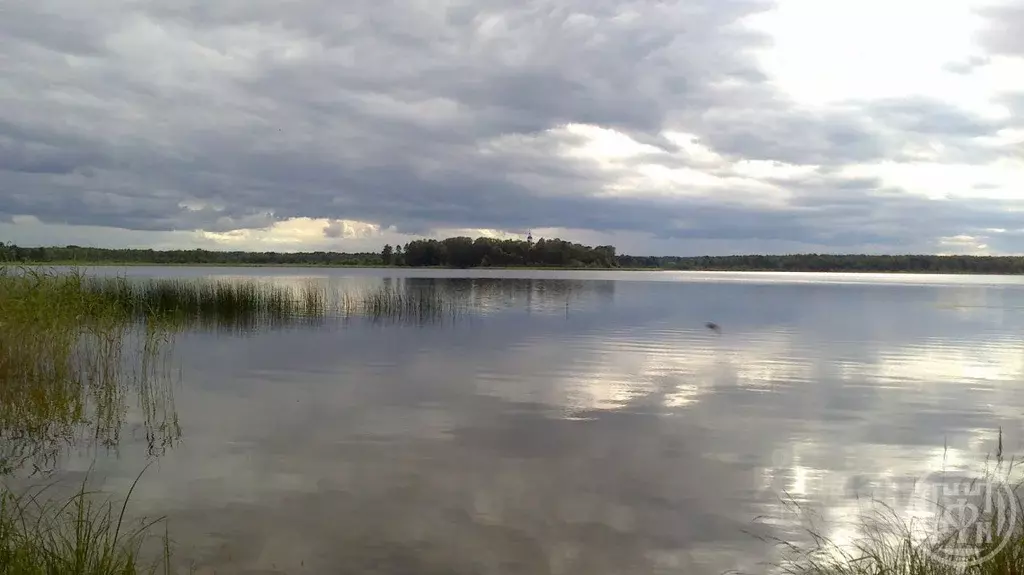 Участок в Ленинградская область, Лужский район, Скребловское с/пос, д. ... - Фото 2