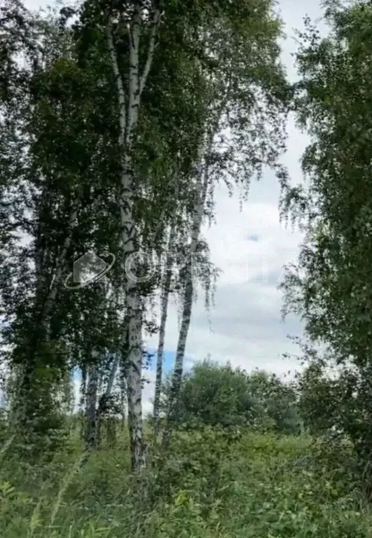 Участок в Тюменская область, Тюменский район Салаирский тракт, 14-й км ... - Фото 0