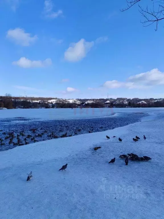 2-к кв. Белгородская область, Старый Оскол Юность мкр,  (44.0 м) - Фото 2