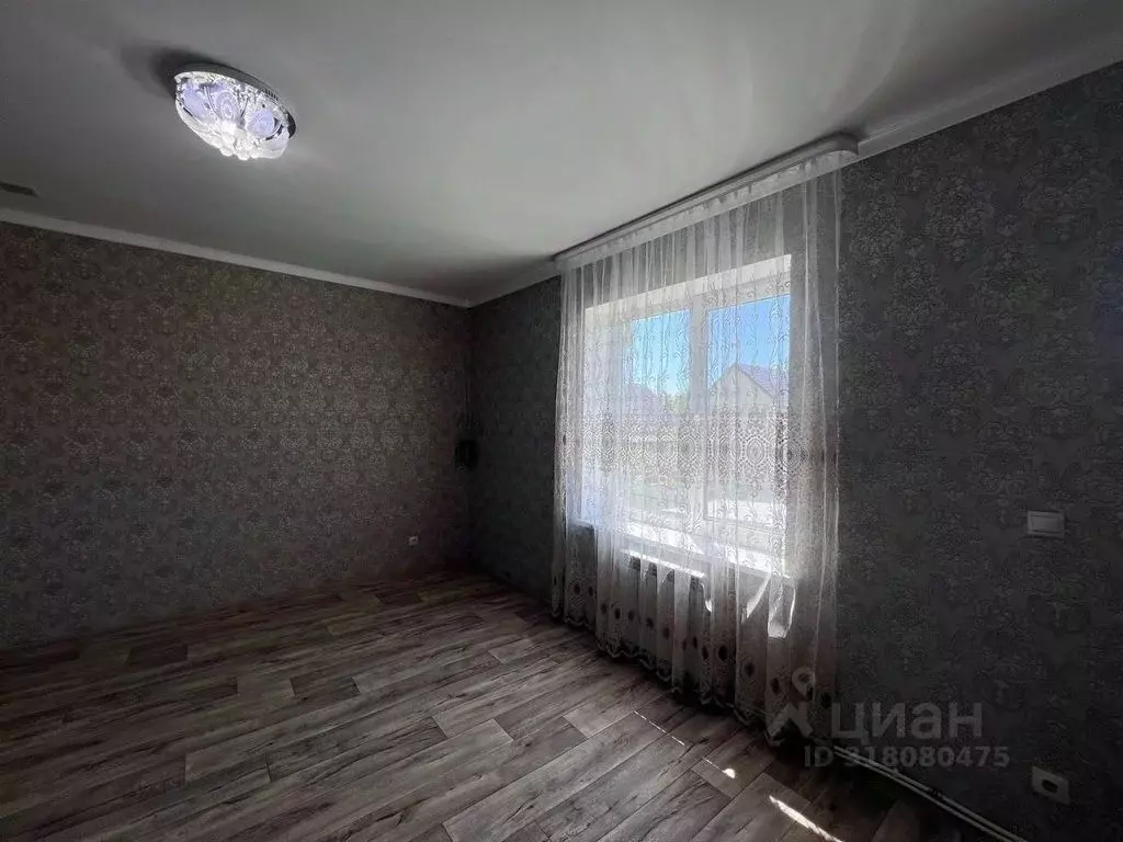 Студия Оренбургская область, Оренбургский район, с. Ивановка ул. ... - Фото 1