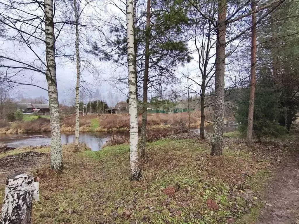 Дом в Ленинградская область, Киришский район, Пчевжинское с/пос, д. ... - Фото 1