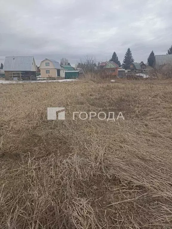 Участок в Новосибирская область, Новосибирский район, Каменский ... - Фото 1