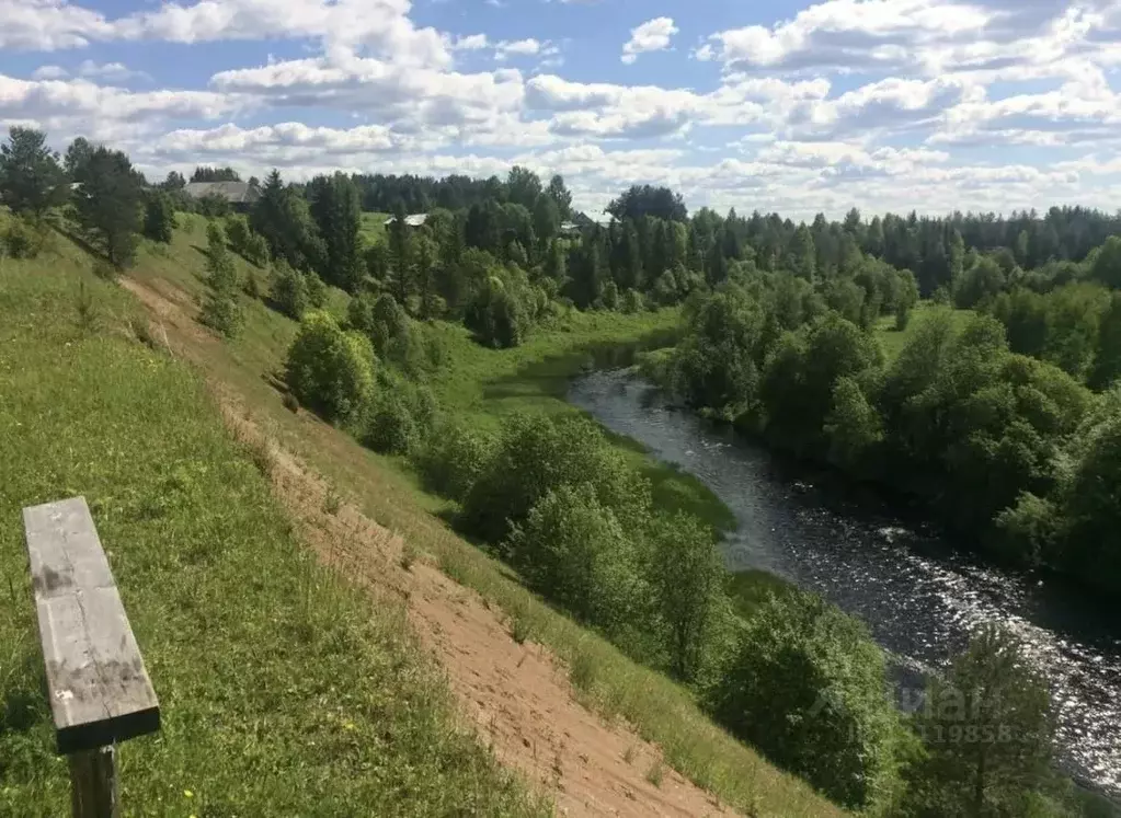 Участок в Вологодская область, Тарногский муниципальный округ, д. ... - Фото 1