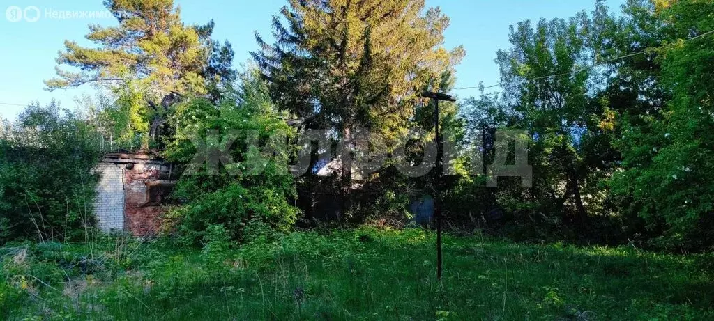 Участок в Новосибирск, садовое товарищество Ивушка (7.23 м) - Фото 1