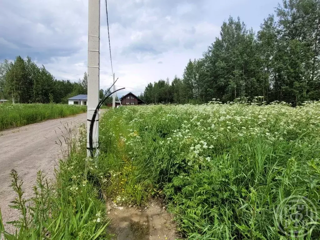 Участок в Ленинградская область, Всеволожский район, Рахьинское ... - Фото 1