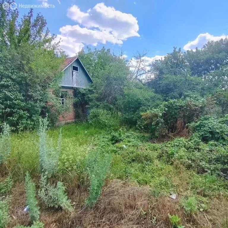 Участок в Красновка, улица Комарова (9.9 м) - Фото 2