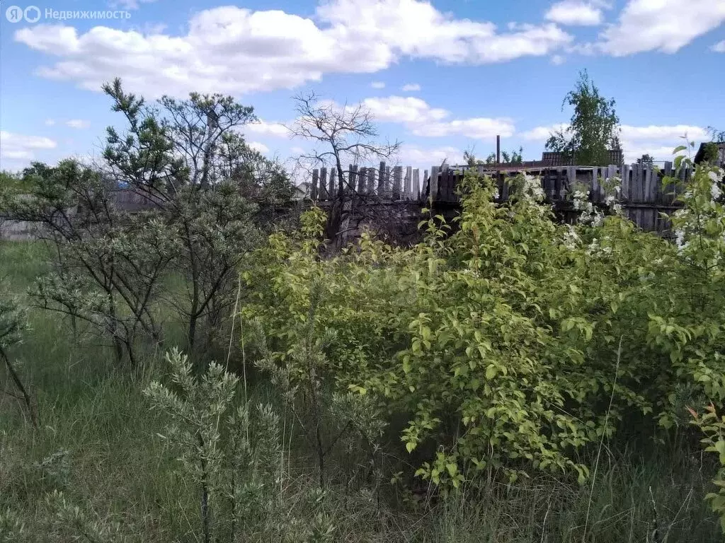 Участок в Омск, посёлок Николаевка, Загородная улица (6.6 м) - Фото 0