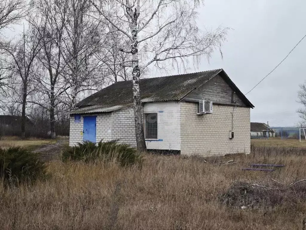 Торговая площадь в Белгородская область, Алексеевский муниципальный ... - Фото 1