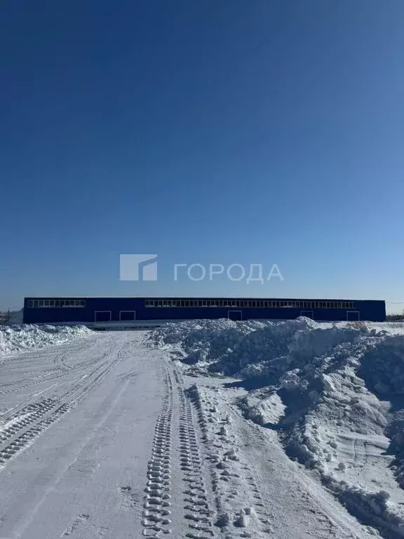 Помещение свободного назначения в Новосибирская область, Искитимский ... - Фото 2