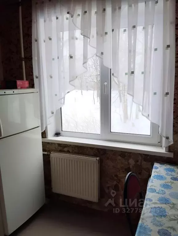 1-к кв. Санкт-Петербург, Санкт-Петербург, Сестрорецк наб. Строителей, ... - Фото 2