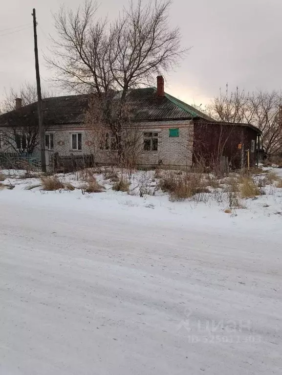 Помещение свободного назначения в Курганская область, Щучанский ... - Фото 1