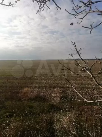 Участок 3,8 га (СНТ, ДНП) - Фото 0
