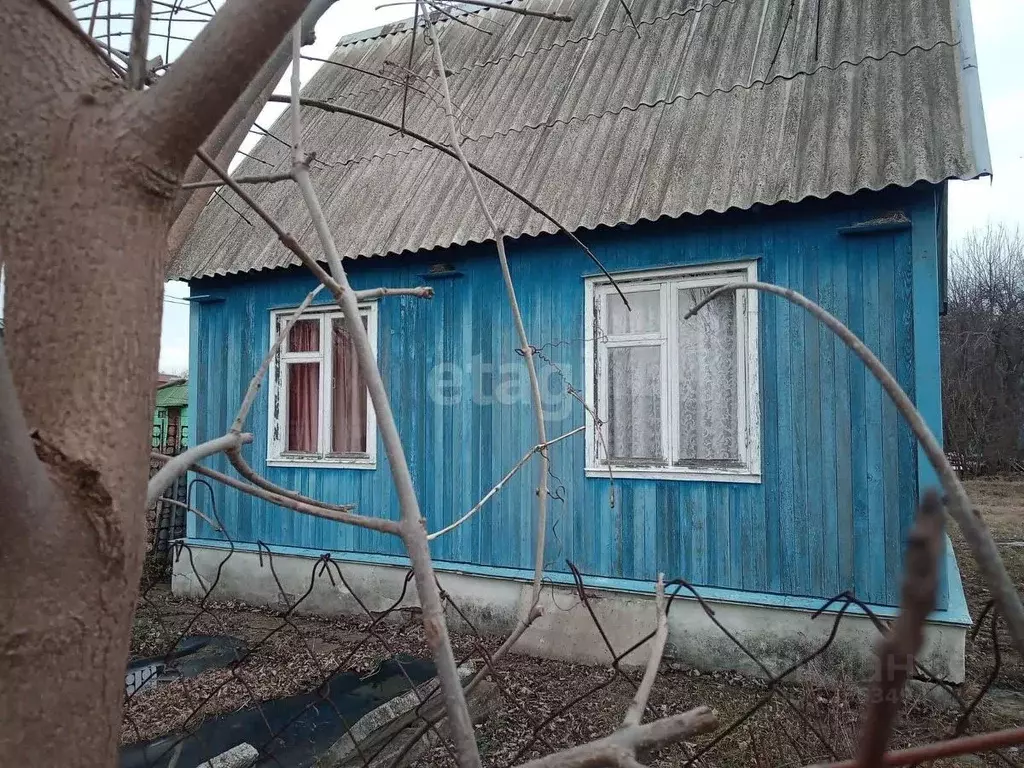 Дом в Воронежская область, Новоусманский район, Рождественско-Хавское ... - Фото 1