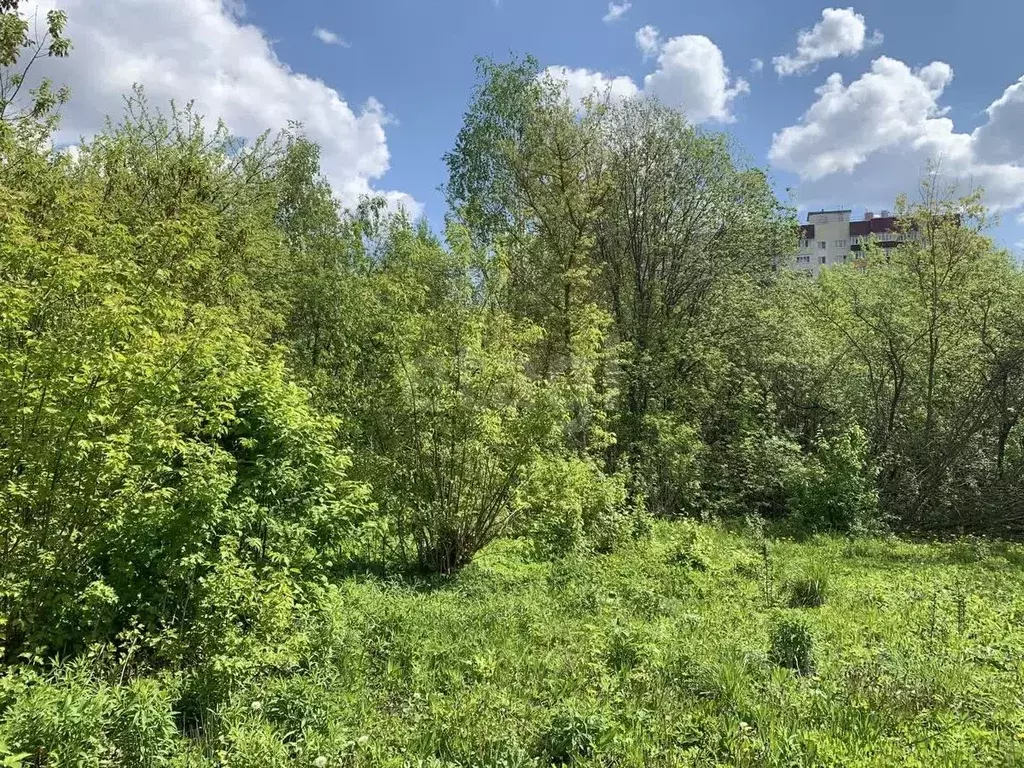 Участок в Мордовия, Саранск Натуралист СНТ,  (4.0 сот.) - Фото 0