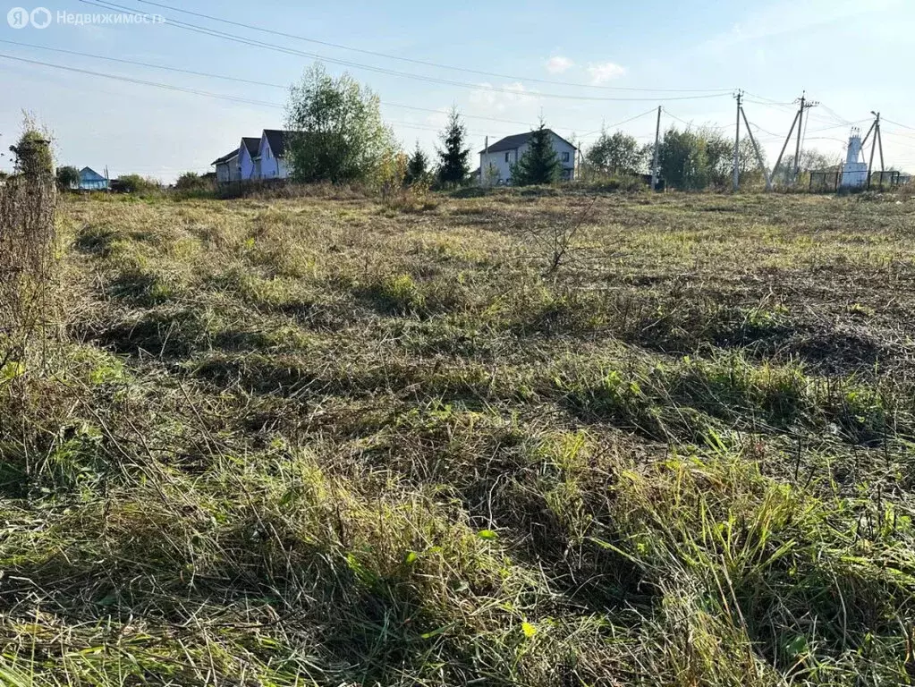 Участок в Богородский городской округ, деревня Каменки-Дранишниково (9 ... - Фото 1