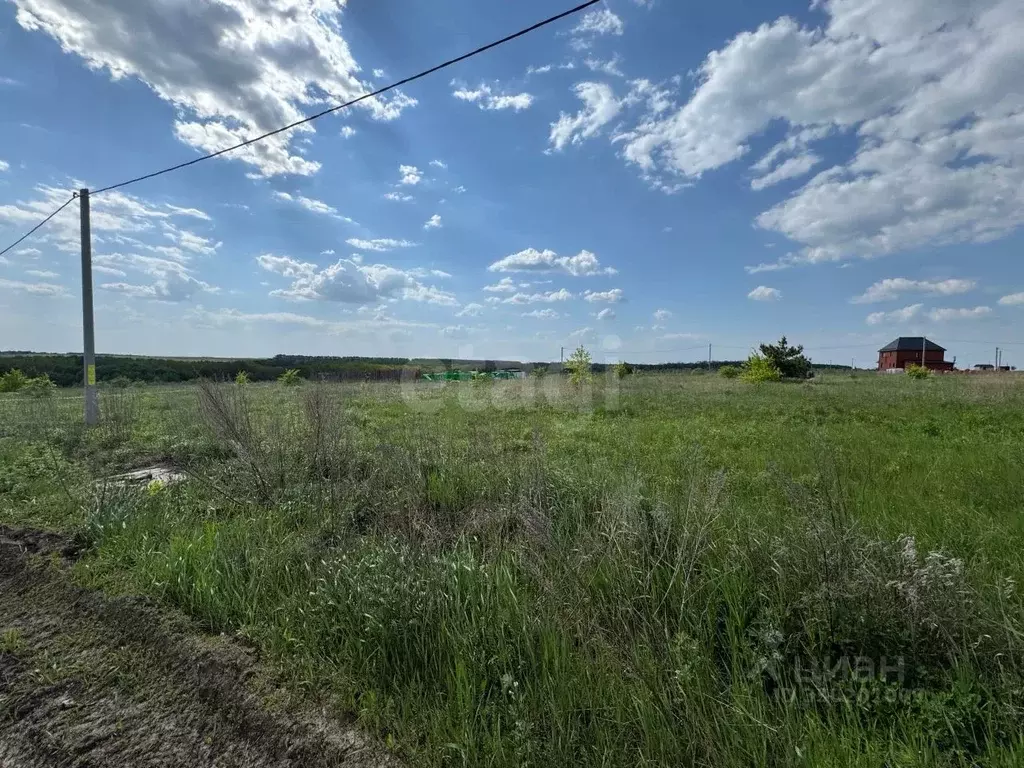 Участок в Курская область, Курский район, Моковский сельсовет, д. ... - Фото 2