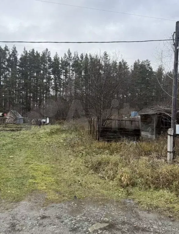 Участок в Свердловская область, Екатеринбург Янтарь СНТ, 2 (6.2 сот.) - Фото 1