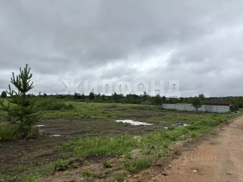 Участок в Новосибирская область, Новосибирский район, Кубовинский ... - Фото 1