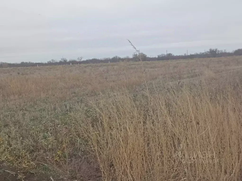 Участок в Краснодарский край, Ейск  (6.1 сот.) - Фото 2