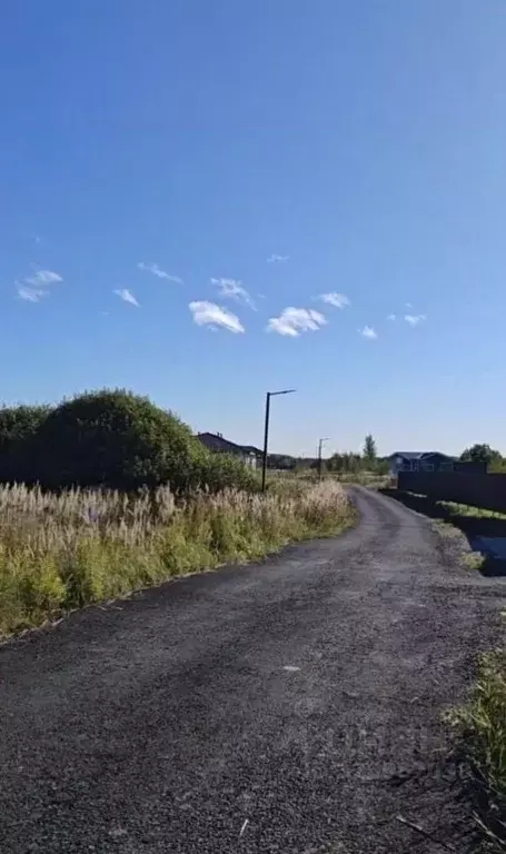 Участок в Московская область, Раменский муниципальный округ, ... - Фото 2
