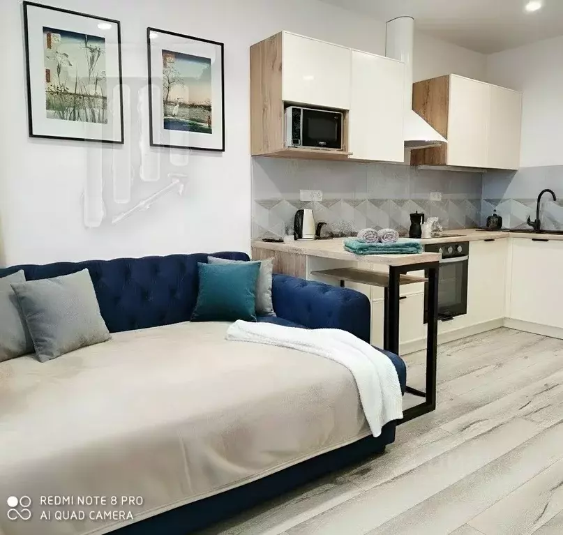 Студия Санкт-Петербург ул. Восстания, 53 (23.0 м) - Фото 2