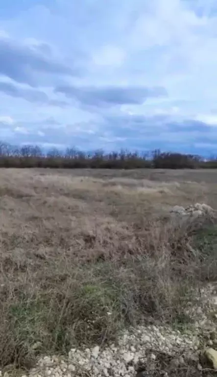 Участок в Крым, Симферопольский район, Донское с/пос, с. Кленовка ул. ... - Фото 2