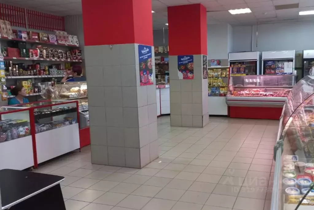 Помещение свободного назначения в Московская область, Серпухов ул. ... - Фото 0