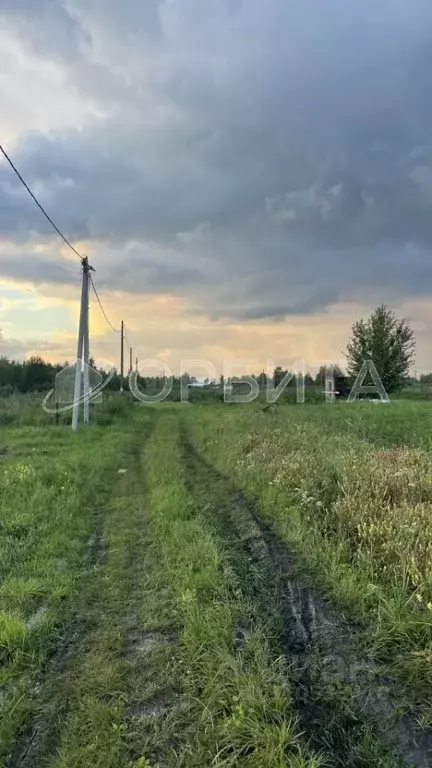 Участок в Тюменская область, Тюмень Большое Царево-1 ТСН,  (9.92 сот.) - Фото 0