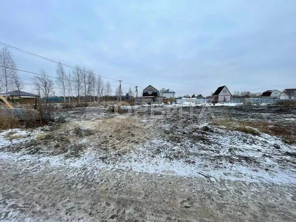 Участок в Тюменская область, Тюмень Царево садовое товарищество, ул. ... - Фото 0