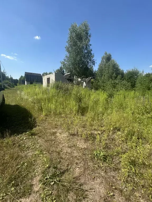 Участок в Нижегородская область, Бор Автомобилист СНТ, 120 (5.0 сот.) - Фото 0