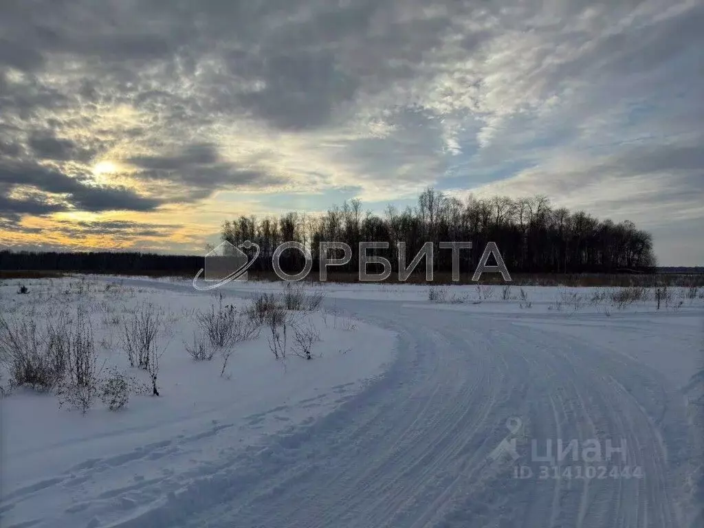 Участок в Тюменская область, Тюменский район, с. Горьковка Сибирская ... - Фото 0