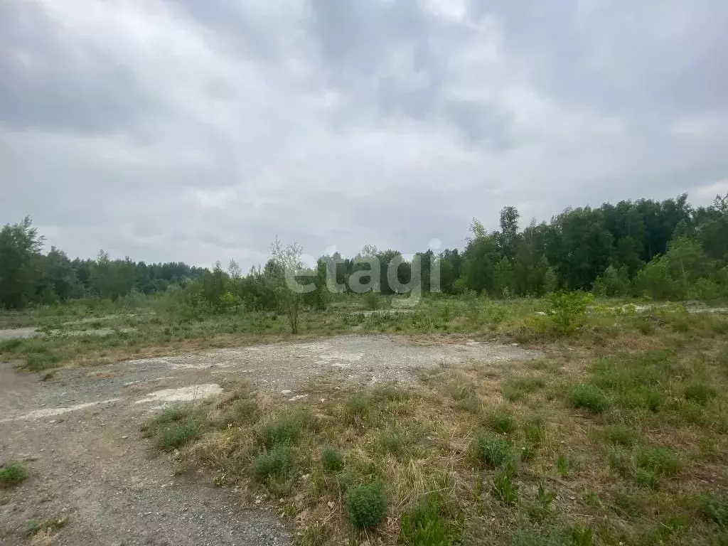 Участок в Новосибирская область, Мошковский район, Индия кп  (11.68 ... - Фото 0