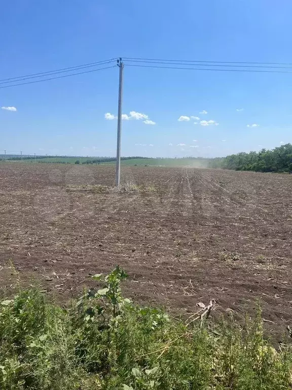 Участок 6,03 га (ИЖС) - Фото 1