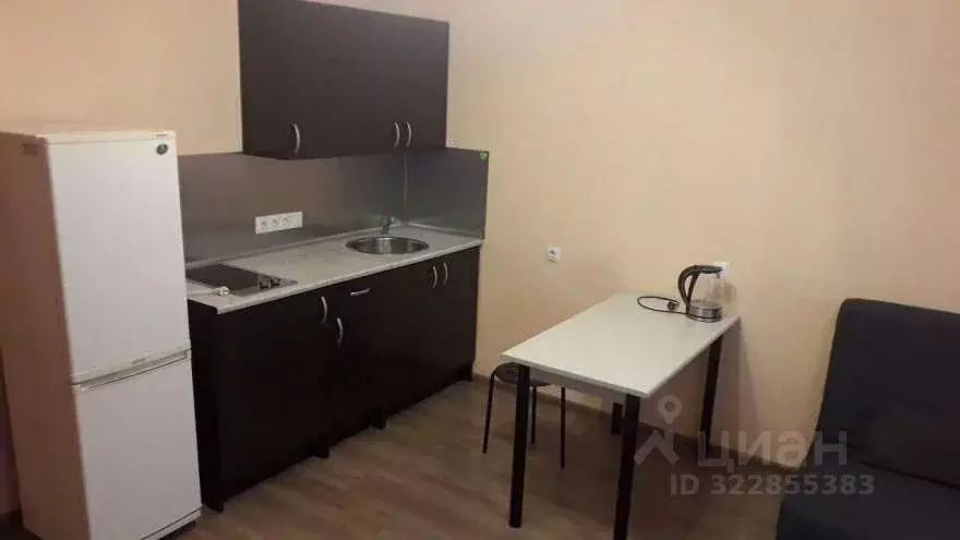 Студия Новосибирская область, Новосибирск Рябиновая ул., 10/1 (28.0 м) - Фото 2