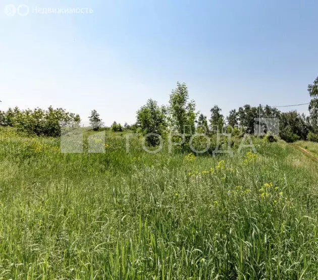 Участок в село Санниково, СНТ Овощевод, Главная улица, 10 (6.4 м) - Фото 2