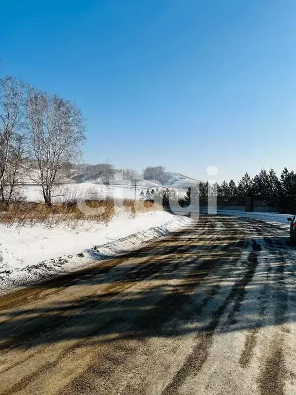 Участок в Красноярский край, Емельяновский район, Элитовский ... - Фото 1