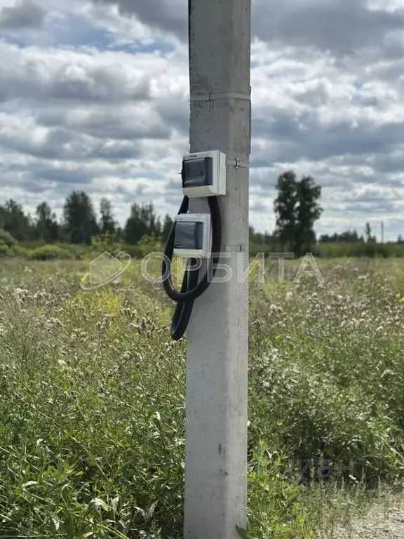 Участок в Тюменская область, Тюменский район, с. Горьковка Сибирская ... - Фото 2