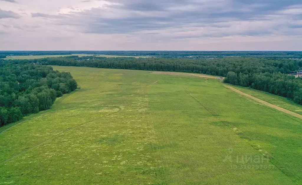 Участок в Московская область, Чехов городской округ, д. Васькино  (9.5 ... - Фото 1