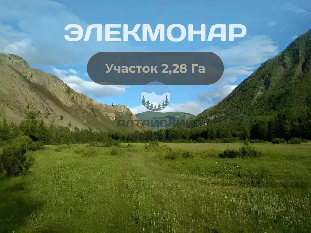 Участок в Алтай, Чемальский район, Элекмонарское с/пос, с. Элекмонар ... - Фото 1