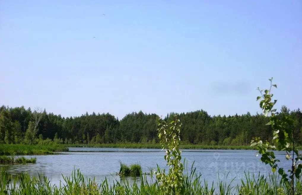 Участок в Московская область, Клин городской округ, д. Подтеребово  ... - Фото 1