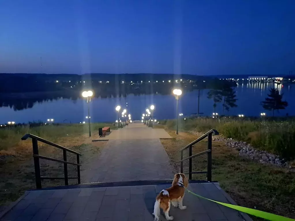 1-к кв. Ленинградская область, Подпорожье Сосновая ул., 9А (33.0 м) - Фото 1