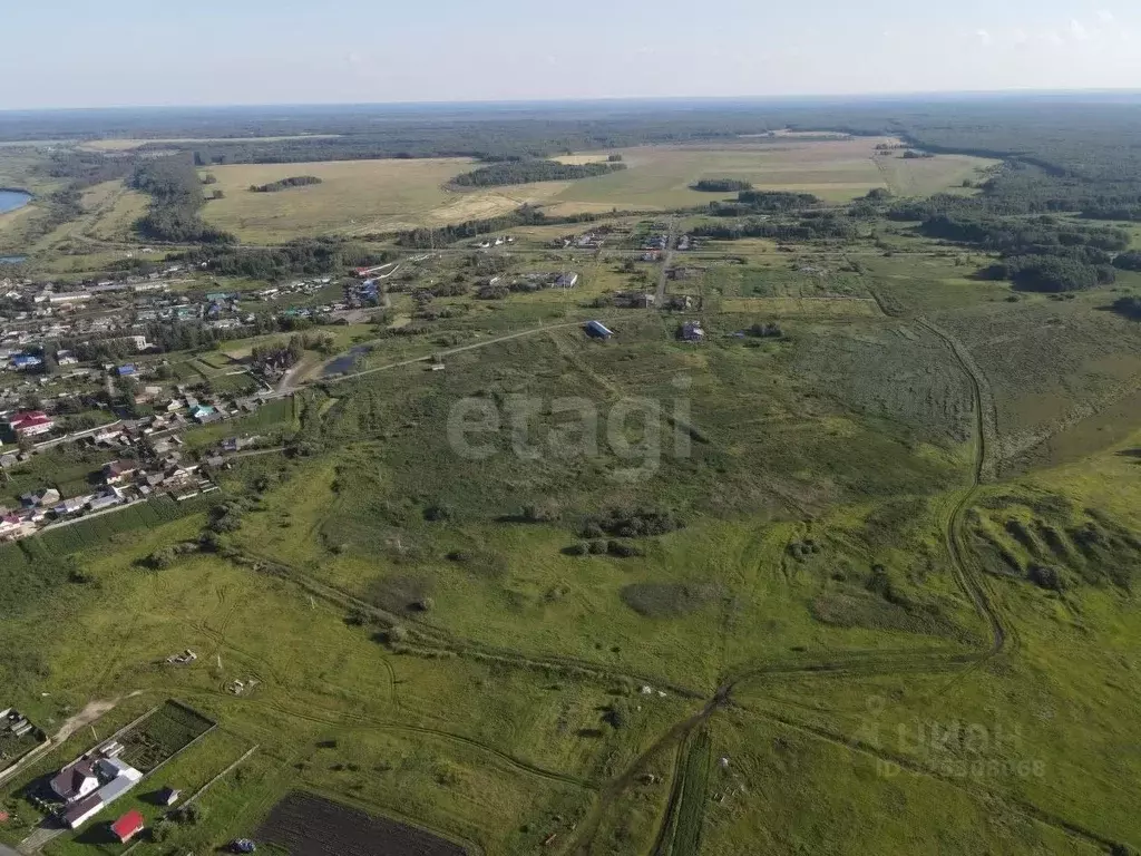 Участок в Свердловская область, Слободо-Туринский район, ... - Фото 1