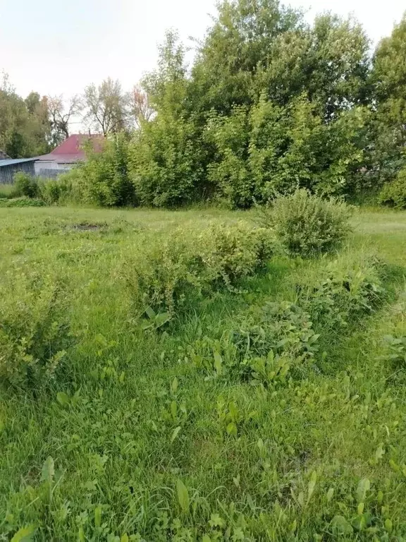 Участок в Калужская область, Калуга городской округ, д. Лихун 15 (12.0 ... - Фото 0