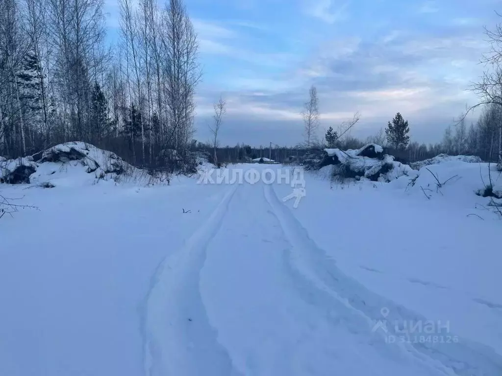 Участок в Новосибирская область, Новосибирский район, Станционный ... - Фото 0