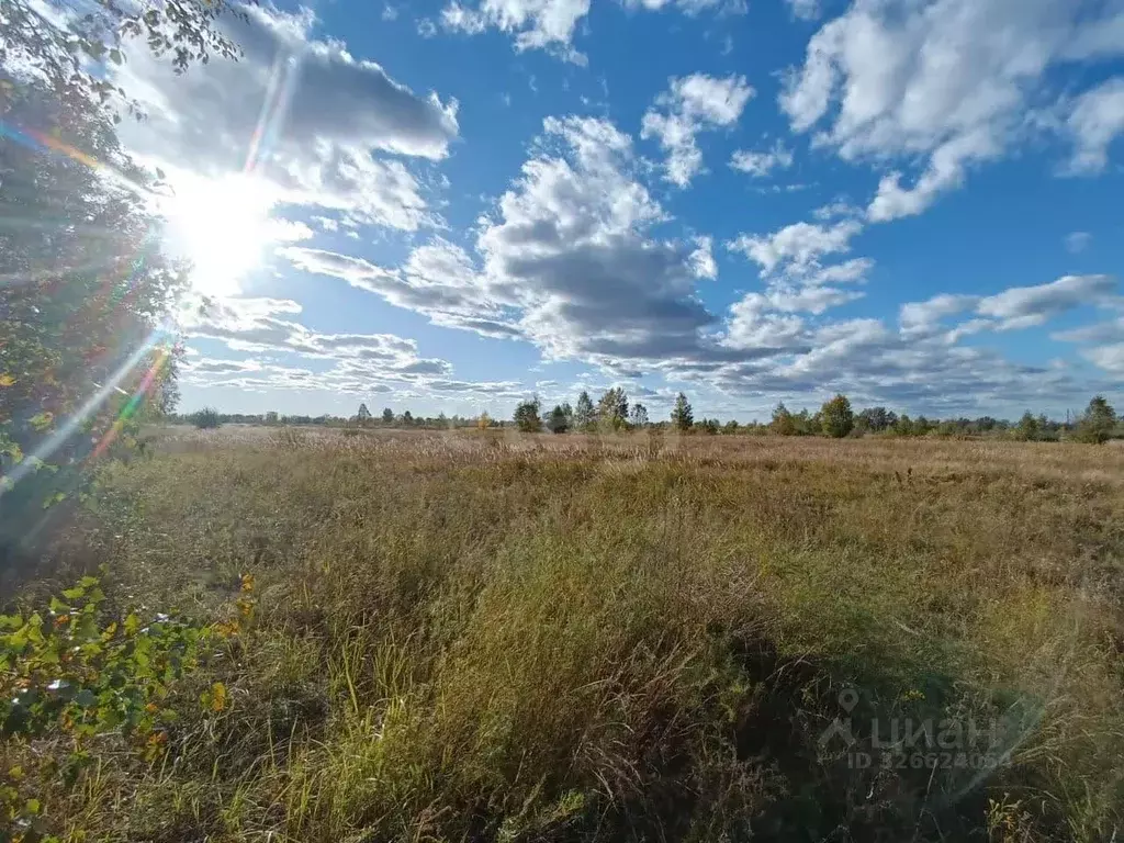 Участок в Курганская область, Курган Благодатное ТСН, 292 (20.0 сот.) - Фото 0