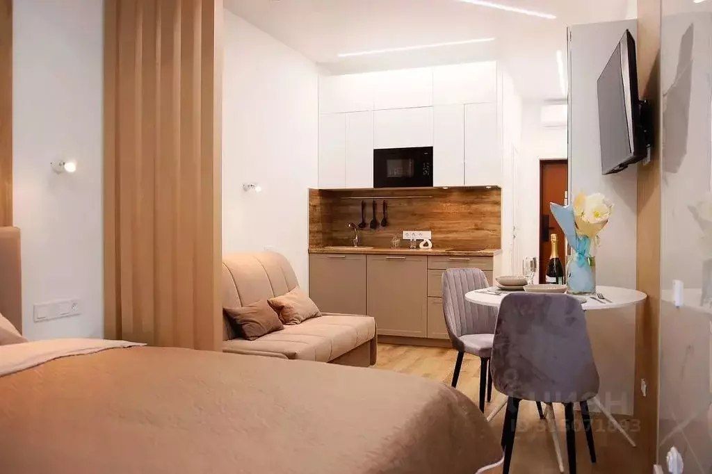 1-к кв. Краснодарский край, Сочи Светлана мкр, ул. Депутатская, 10Г ... - Фото 2